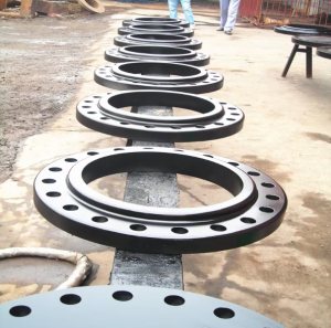 Pipe Fittings A105 Class 150 Ss Carbon Steel Plate Threaded Cs Flange