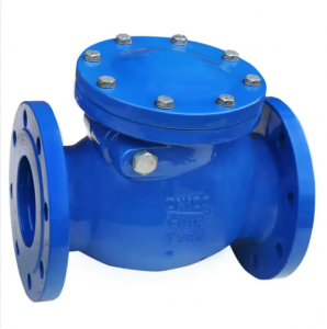 Ductile Iron Normal Temperature PN16 Flange Ends Non Return Valve DI Ball Type Check Valve